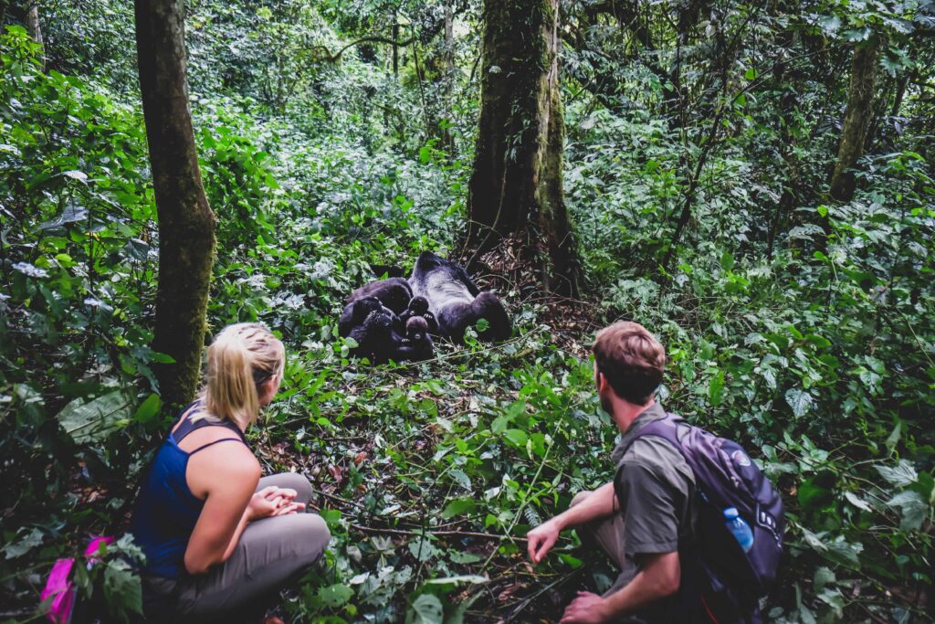 gorilla trekking in Rwanda