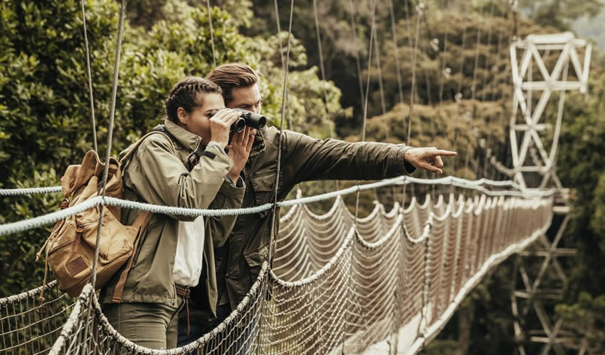 canopy walk in Nyungwe Forest.