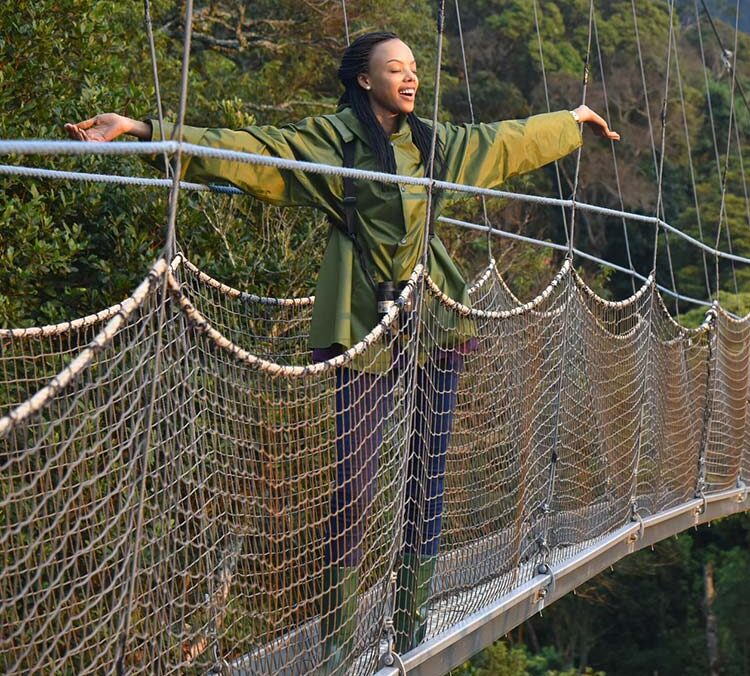 canopy walks in Nyungwe forest National Park