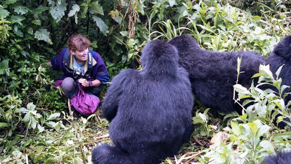 Activities in Bwindi Impenetrable National Park and their Prices