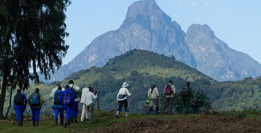 Mount Bisoke Hike