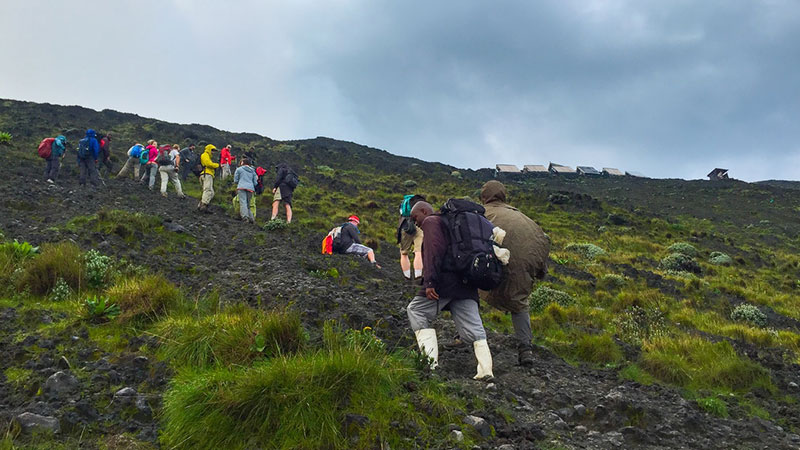 Volcanoes National Park Rwanda Price for Top 8 Activities