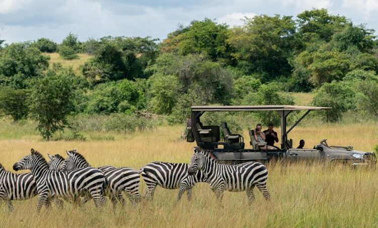 Akagera National Park Vehicle Entrance Fees