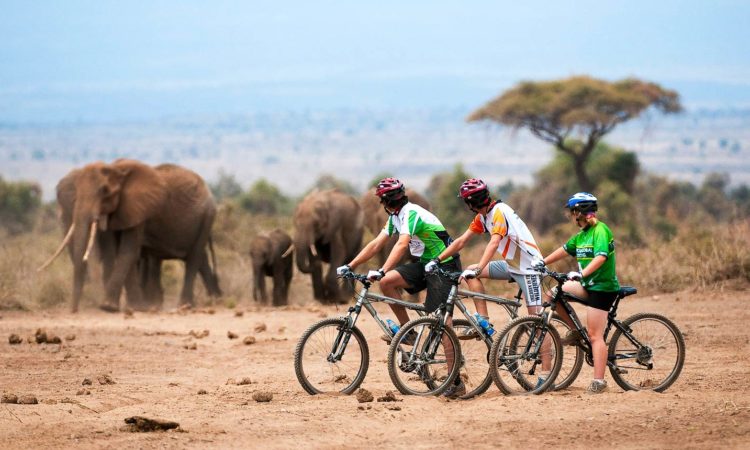 Getting about Rwanda by a Bicycle