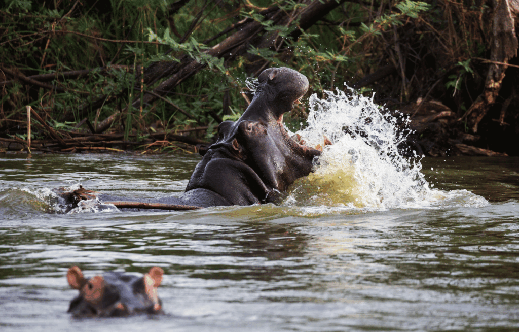 Explore Lakes in Rwanda