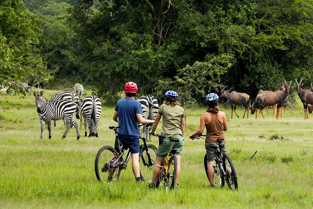 Cycling tours in Lake Mburo National Park