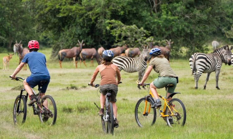 Detailed Itinerary of the 5 Days Uganda Safari