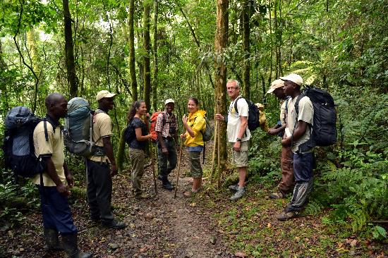 tips on how to prepare for a gorilla trek