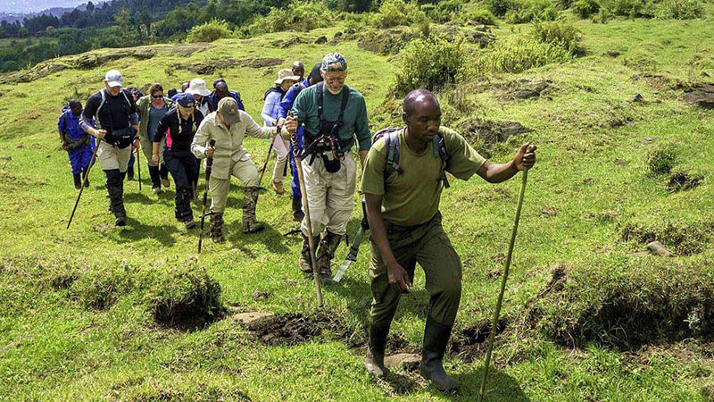 Mount Bisoke Hike