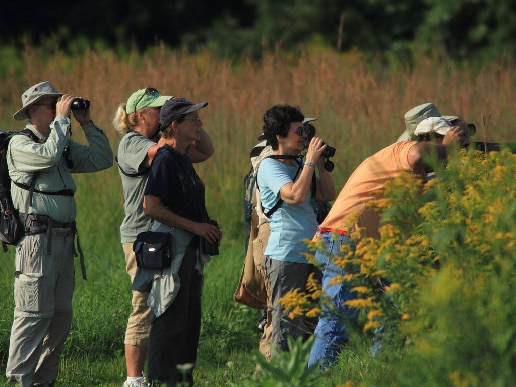 5 Days Rwanda Birding Safari