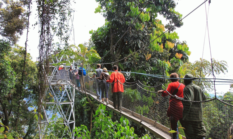 Nyungwe National Park Prices